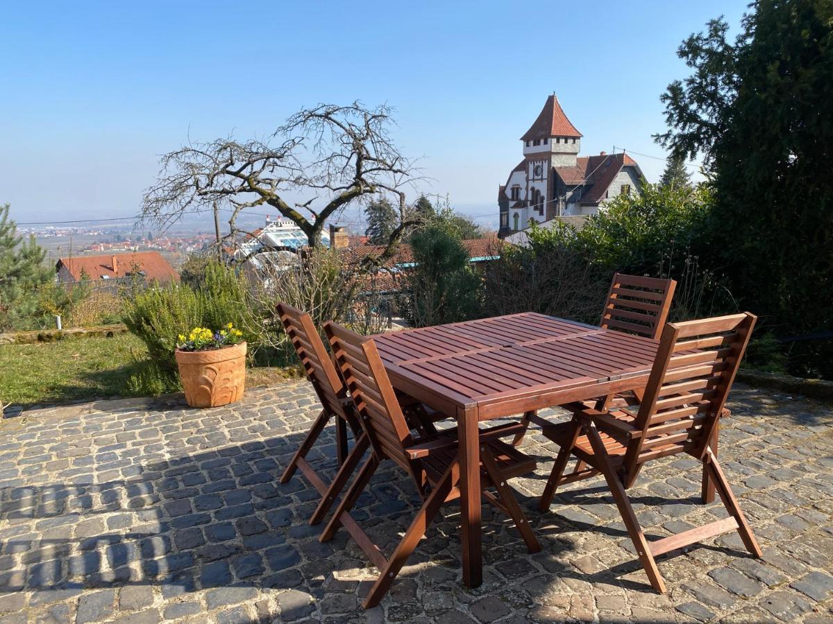 Apartmán Ferienhaus Pfaelzer Wald Weyher Exteriér fotografie