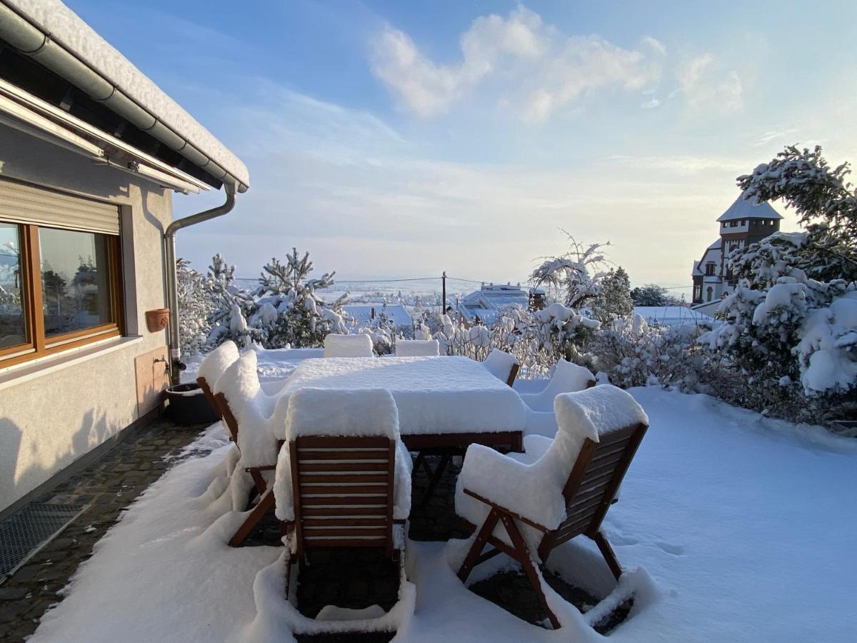 Apartmán Ferienhaus Pfaelzer Wald Weyher Exteriér fotografie